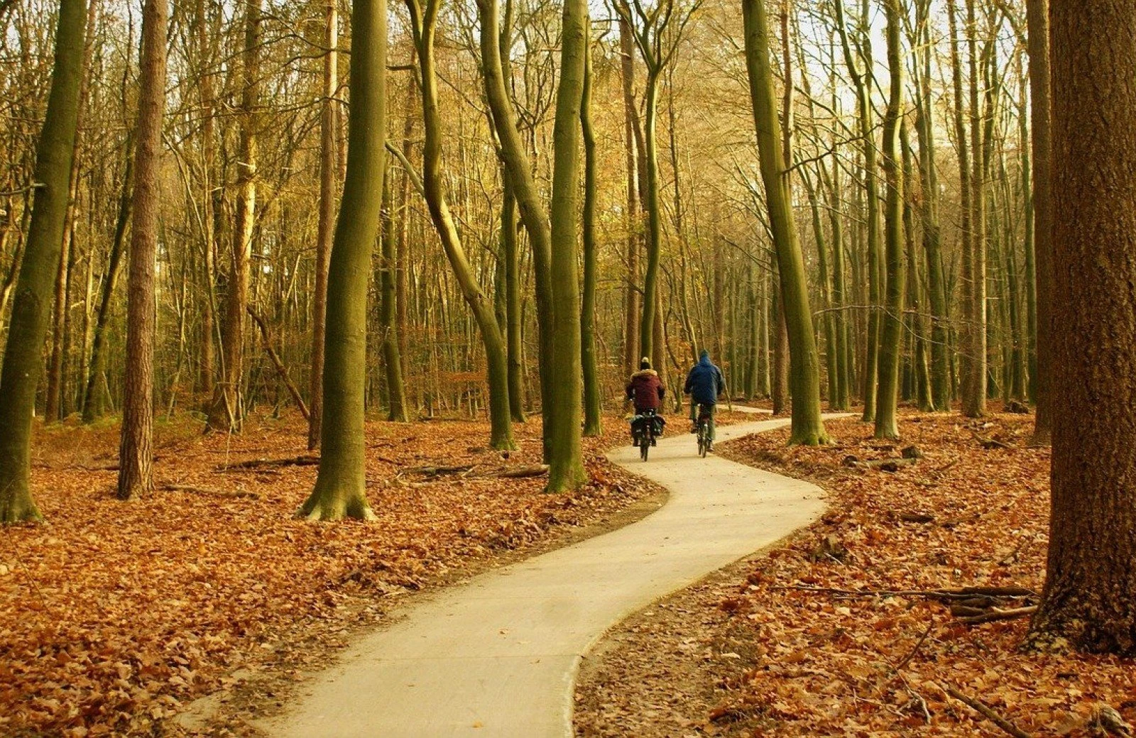 Betuwe gelderland